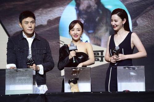 娱乐圈吃瓜爆料合集小说,揭秘幕后真相与爱恨情仇